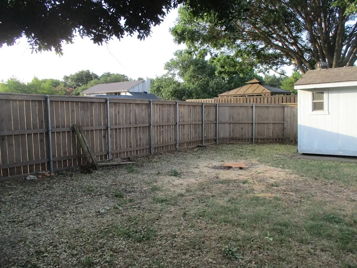 Cleared yard after professional tree removal in Gretna